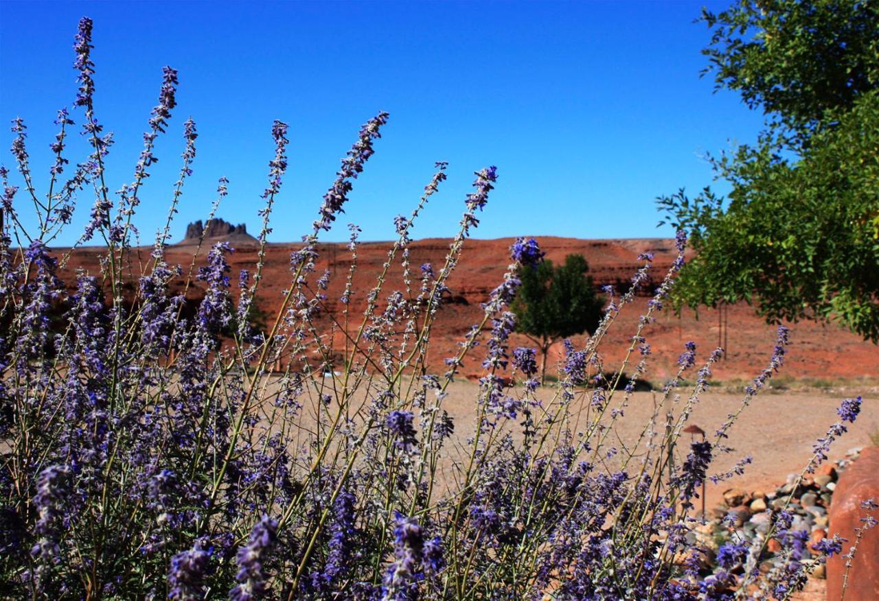 Hat Rock Inn Mexican Hat Екстер'єр фото